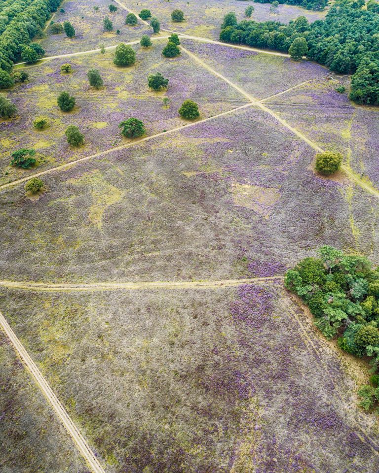 Bussumerheide from my drone