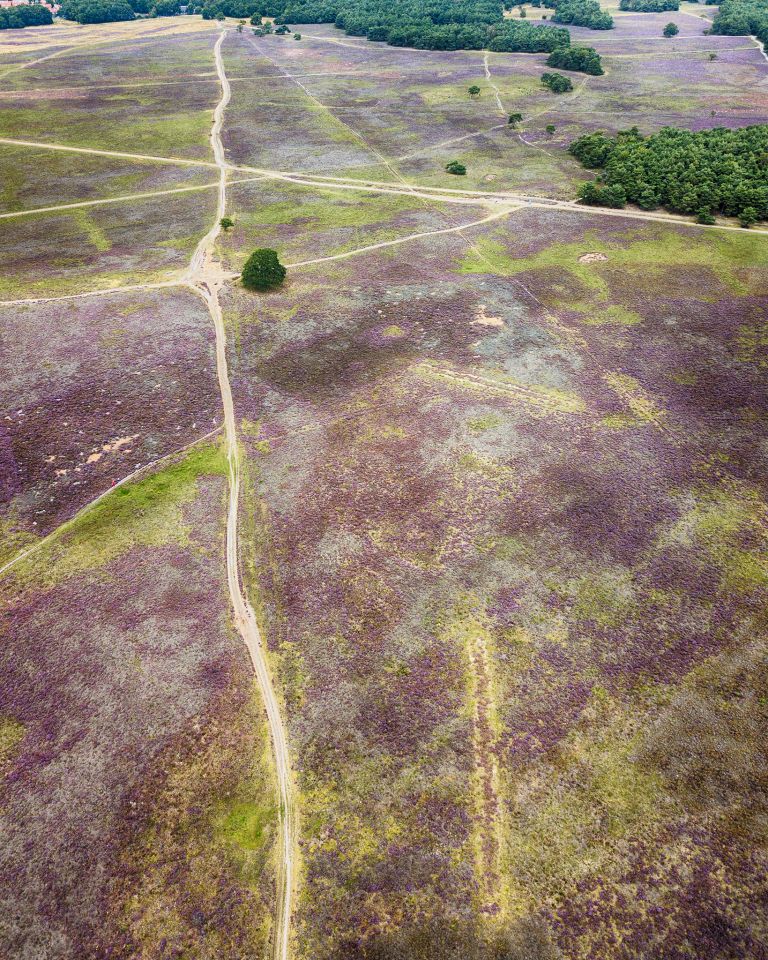 Bussumerheide from my drone