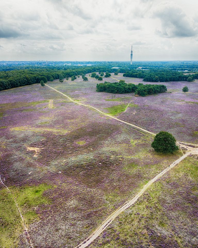 Bussumerheide from my drone