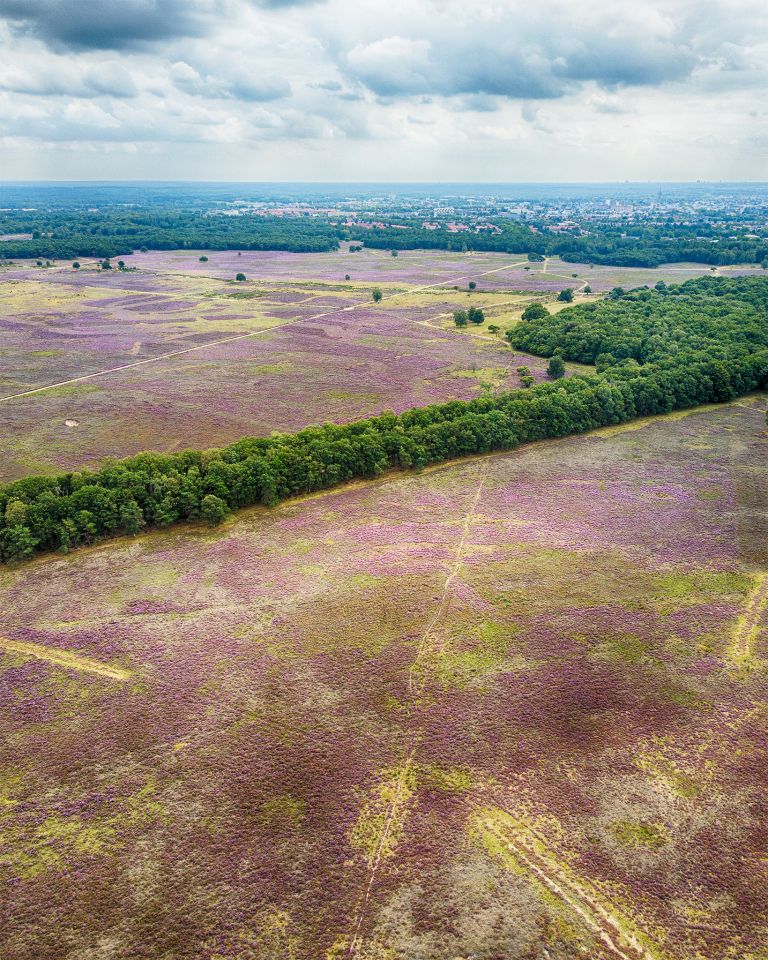 Bussumerheide from my drone