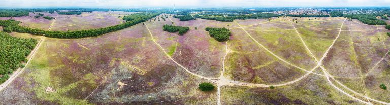 Bussumerheide from my drone