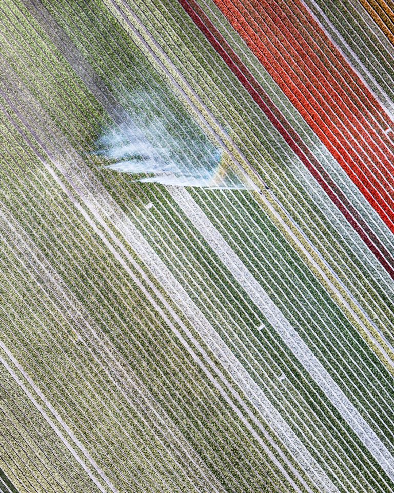 Drone picture of a tulip field near Almere-Haven