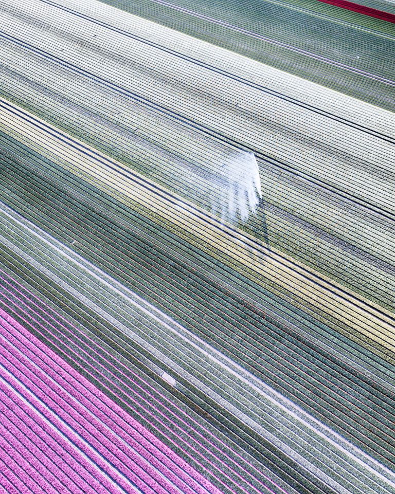 Tulip field from my drone near Almere-Haven