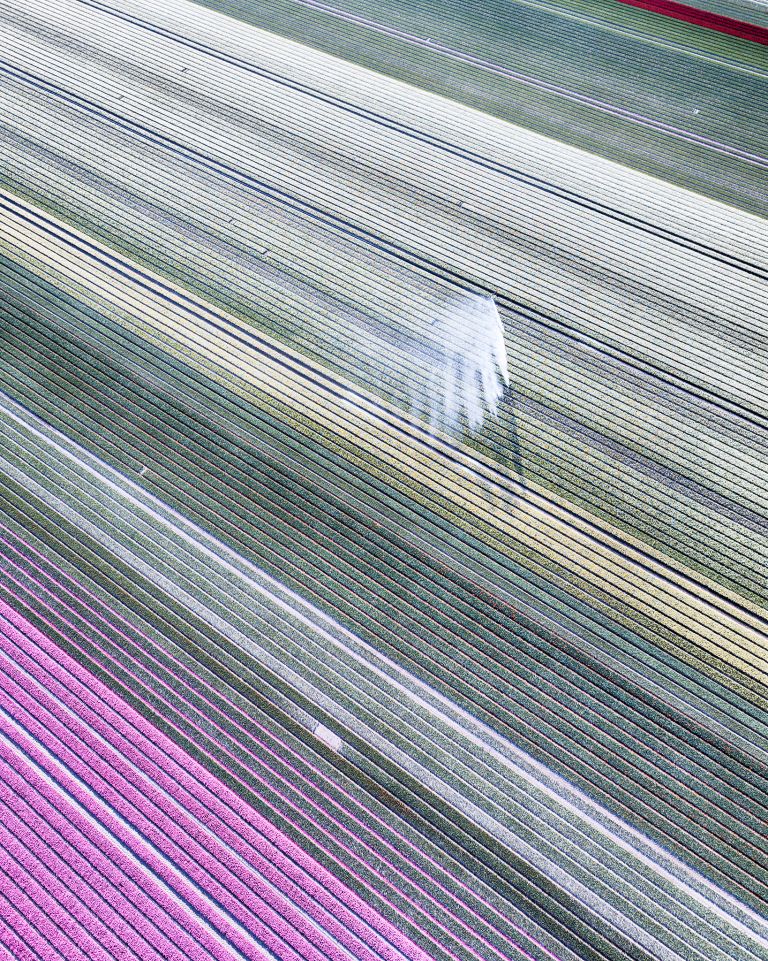 Tulip field from my drone near Almere-Haven