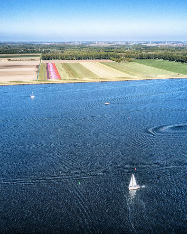 Tulip field next to lake Gooimeer