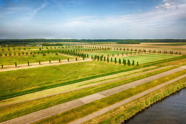 Field next to lake Gooimeer