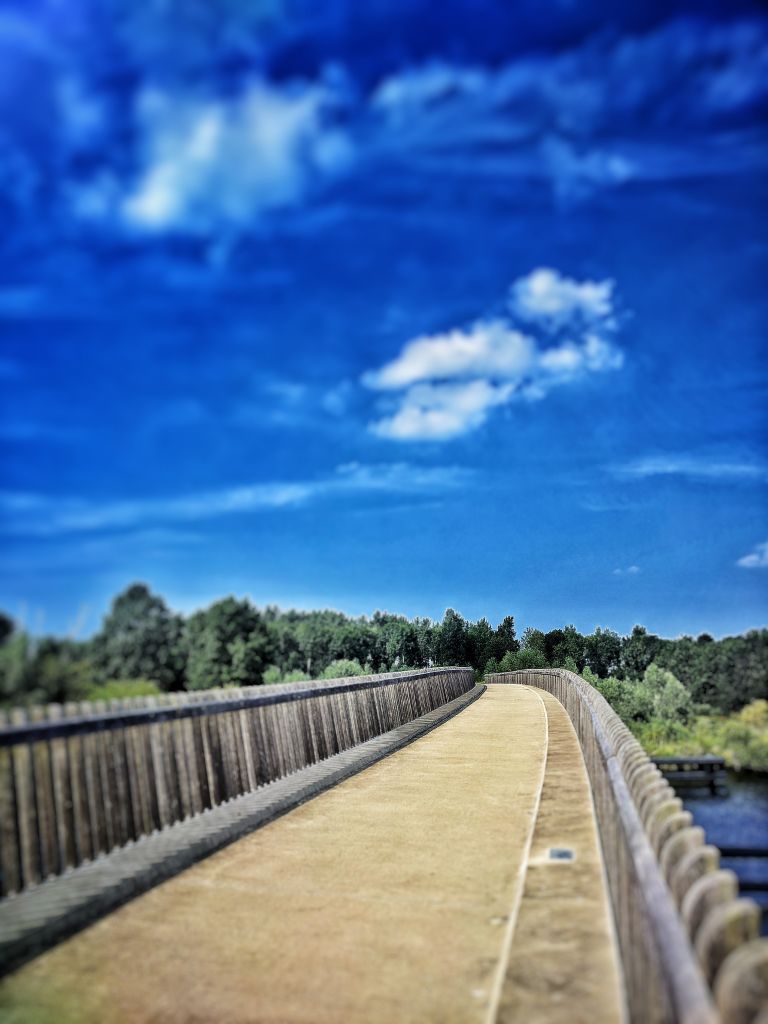 Bridge near Oostvaardersplassen